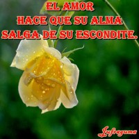 /album/fotogaleria/el-amor7-jpg/